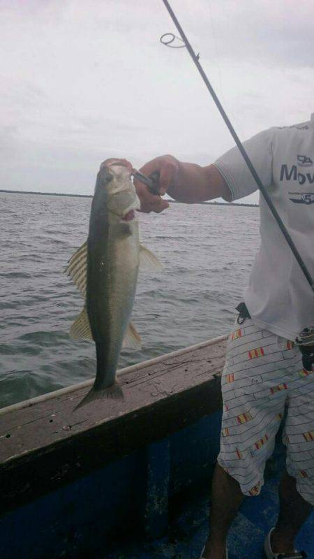 海龍丸（石川） 釣果