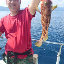 あみや渡船 JIGBOY 釣果