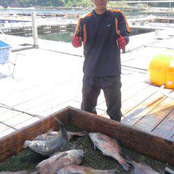 海の釣堀 海恵 釣果