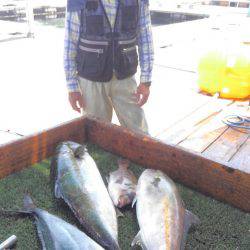 海の釣堀 海恵 釣果