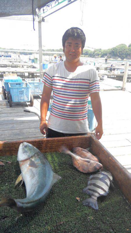 海の釣堀 海恵 釣果