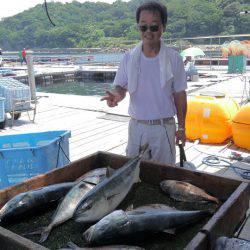 海の釣堀 海恵 釣果