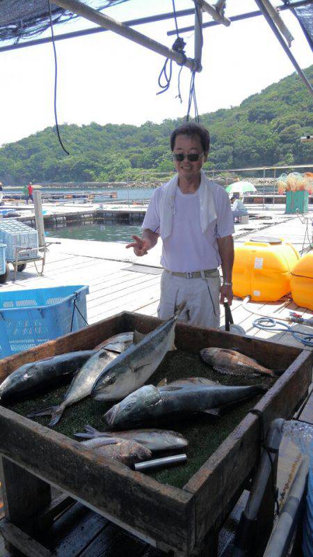 海の釣堀 海恵 釣果