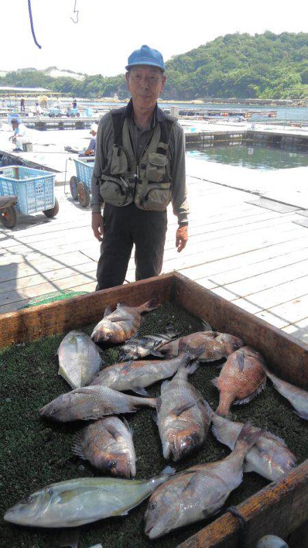 海の釣堀 海恵 釣果
