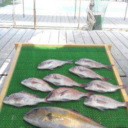 海の釣堀 海恵 釣果