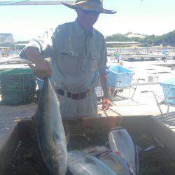 海の釣堀 海恵 釣果