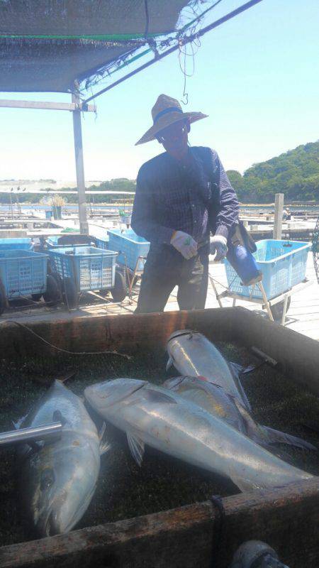 海の釣堀 海恵 釣果