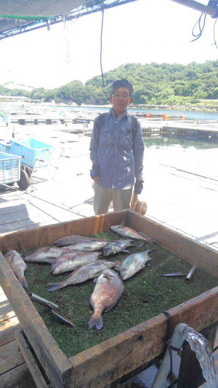 海の釣堀 海恵 釣果