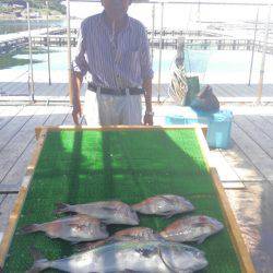 海の釣堀 海恵 釣果