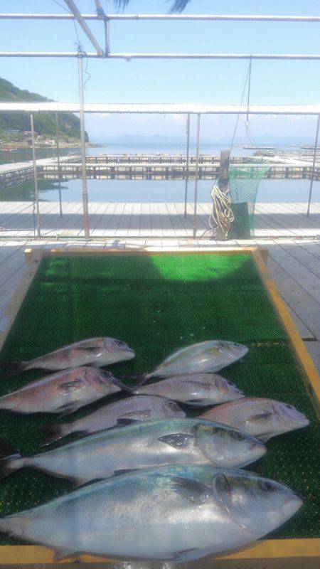 海の釣堀 海恵 釣果