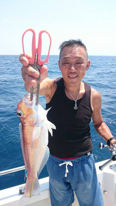 ARCADIAⅡ (アルカディアⅡ) 釣果