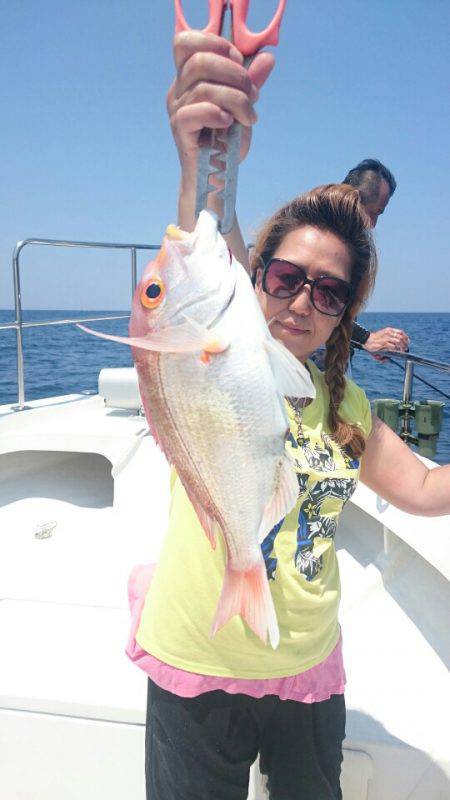 ARCADIAⅡ (アルカディアⅡ) 釣果