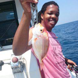 ARCADIAⅡ (アルカディアⅡ) 釣果