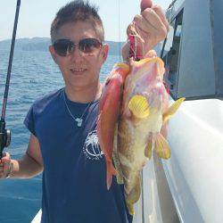 ARCADIAⅡ (アルカディアⅡ) 釣果