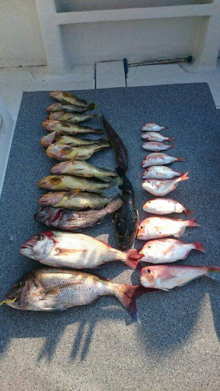 ARCADIAⅡ (アルカディアⅡ) 釣果