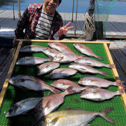 海の釣堀 海恵 釣果