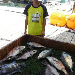 海の釣堀 海恵 釣果