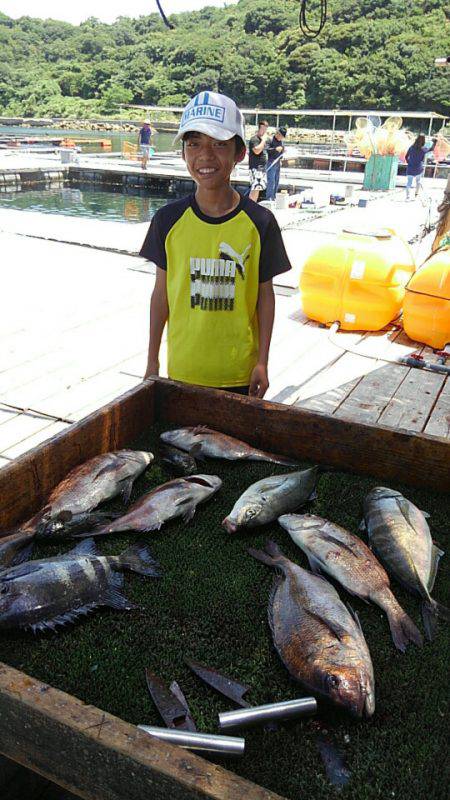 海の釣堀 海恵 釣果