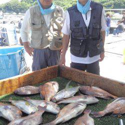 海の釣堀 海恵 釣果