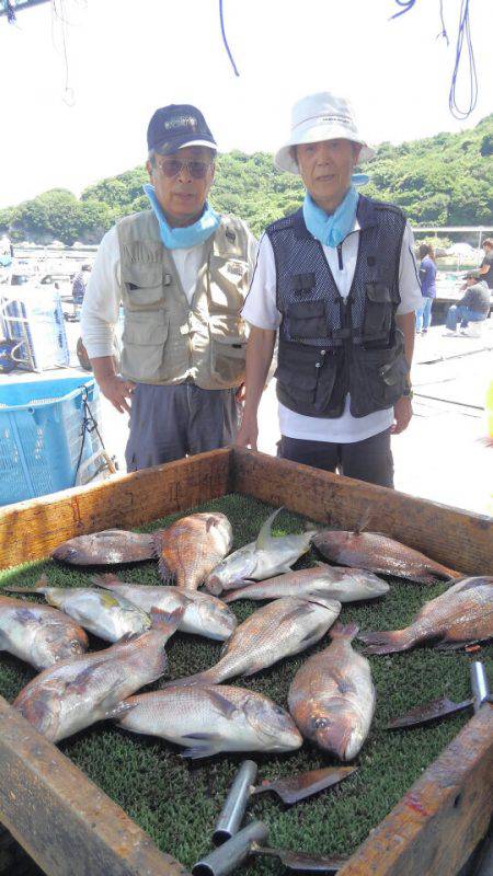 海の釣堀 海恵 釣果