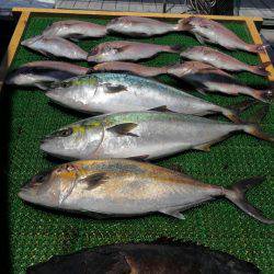 海の釣堀 海恵 釣果