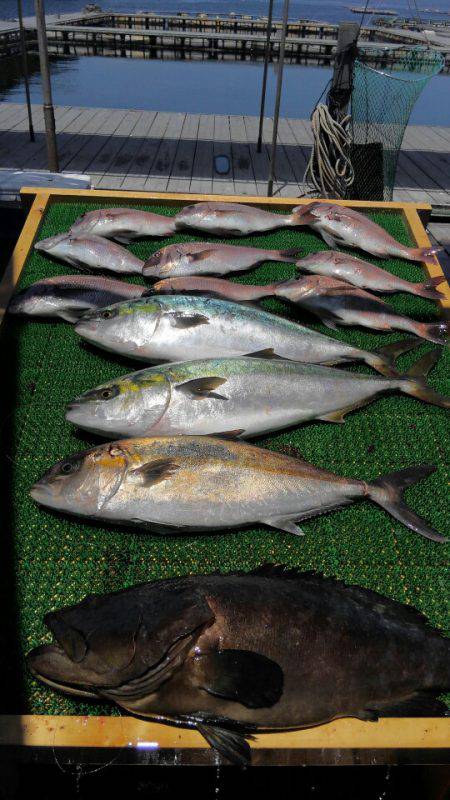海の釣堀 海恵 釣果