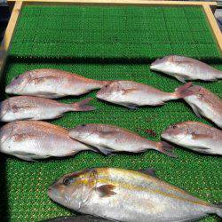 海の釣堀 海恵 釣果