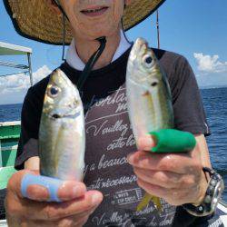 金沢八景鴨下丸 釣果