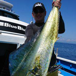 第三共栄丸 釣果