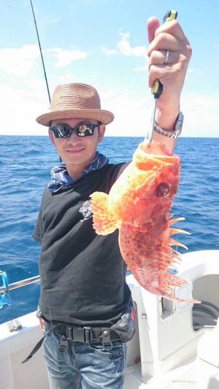 ARCADIAⅡ （アルカディアⅡ） 釣果