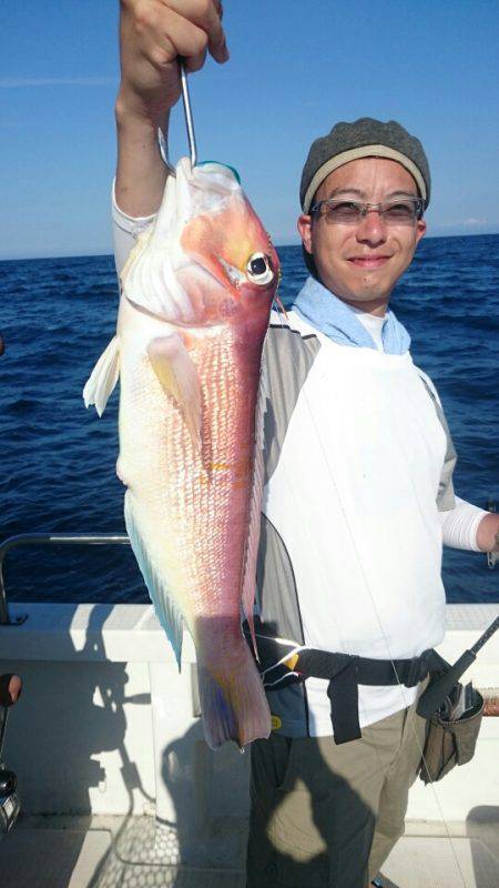 ARCADIAⅡ （アルカディアⅡ） 釣果