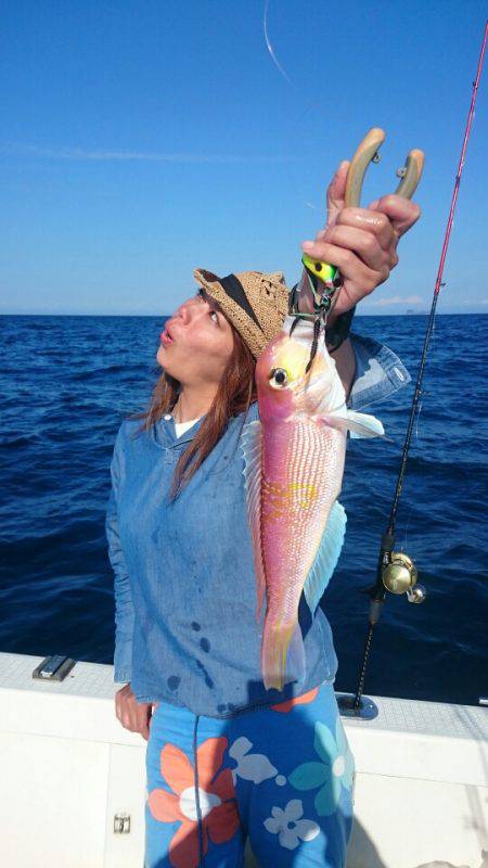 ARCADIAⅡ （アルカディアⅡ） 釣果