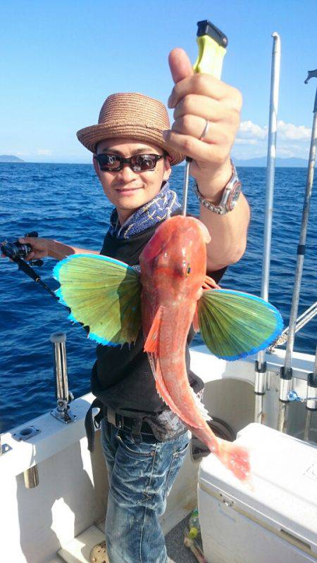 ARCADIAⅡ （アルカディアⅡ） 釣果