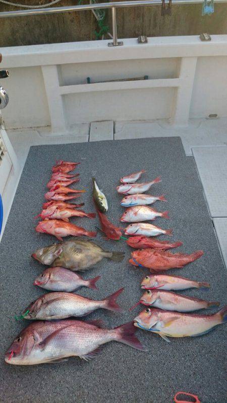 ARCADIAⅡ （アルカディアⅡ） 釣果