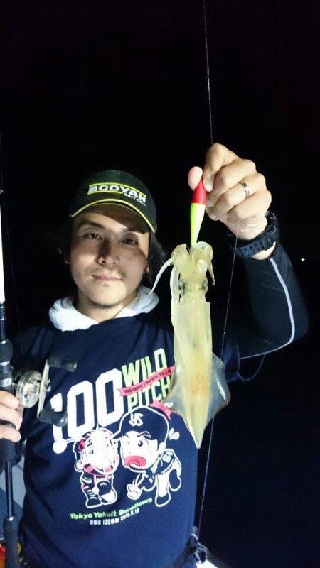 きずなまりん 釣果