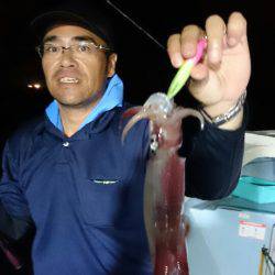 きずなまりん 釣果