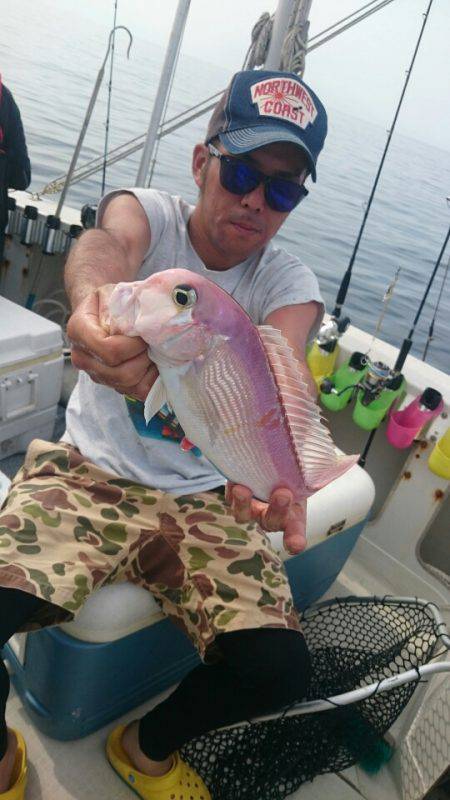 ARCADIAⅡ (アルカディアⅡ) 釣果