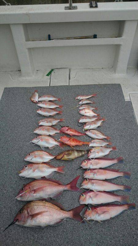 ARCADIAⅡ （アルカディアⅡ） 釣果…