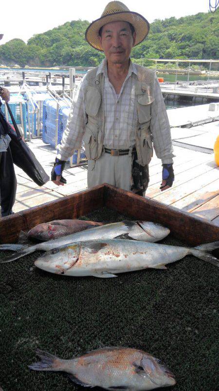 海の釣堀 海恵 釣果