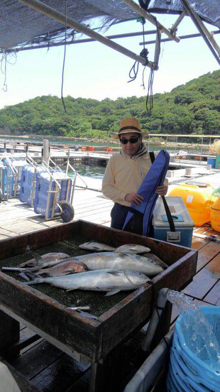海の釣堀 海恵 釣果