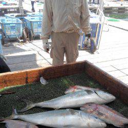 海の釣堀 海恵 釣果
