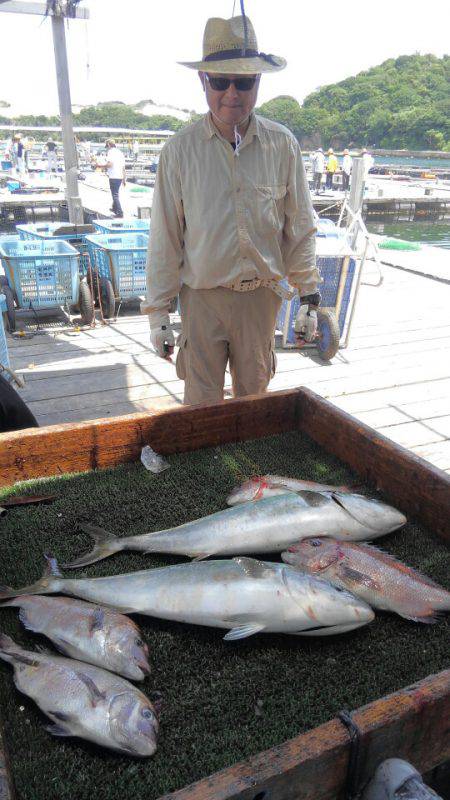 海の釣堀 海恵 釣果
