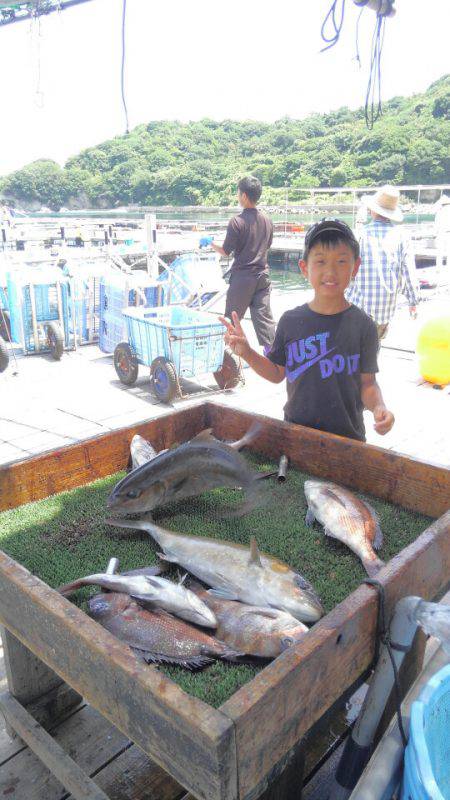 海の釣堀 海恵 釣果