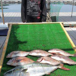 海の釣堀 海恵 釣果