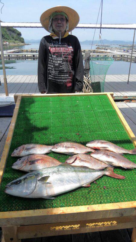 海の釣堀 海恵 釣果