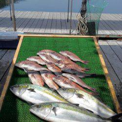 海の釣堀 海恵 釣果