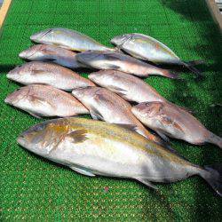 海の釣堀 海恵 釣果