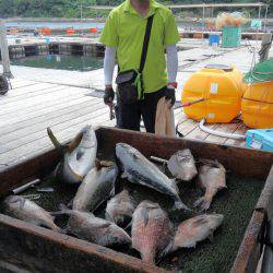 海の釣堀 海恵 釣果