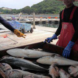 海の釣堀 海恵 釣果