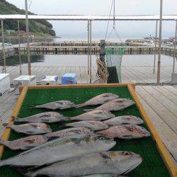 海の釣堀 海恵 釣果